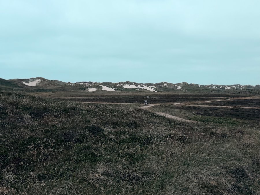 Fairytale landscapes and the financial reality check